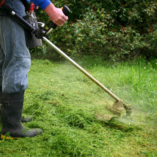 Weed Care Commercial in Everett, WA