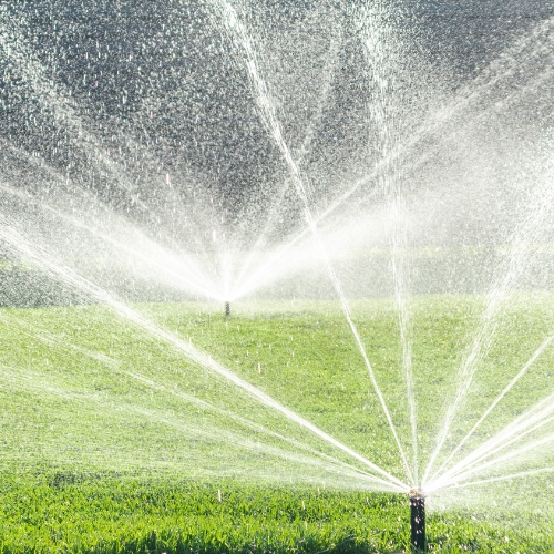 Irrigation Commercial in Everett, WA