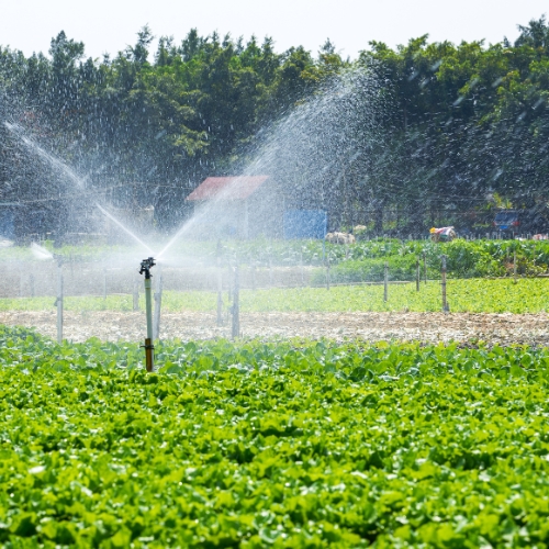 Irrigation Commercial in Everett, WA