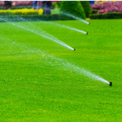 Irrigation Commercial in Everett, WA