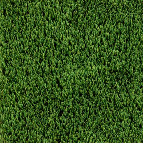 Artificial Turf in Everett, WA