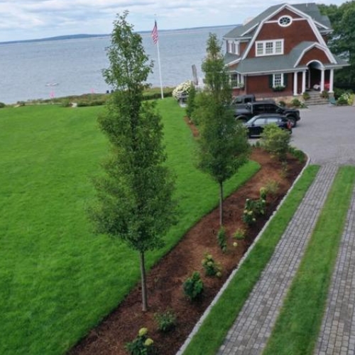 Landscape Maintenance Commercial in Everett, WA